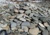 Фото Песчаник, галька, валун, для отделки и ландшафта